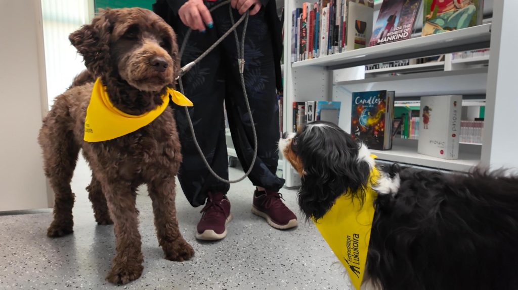 Kirjaston vapaaehtoistoimintaa: lukukoirat – Frivilligarbete med läshundar på biblioteket – Volunteering with reading dogs at the library (1/3)